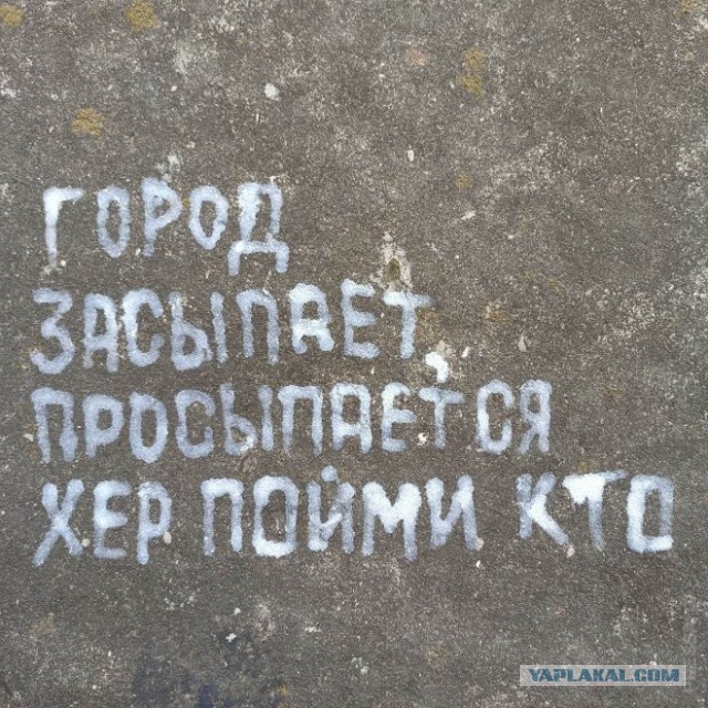 Забавные картинки ...