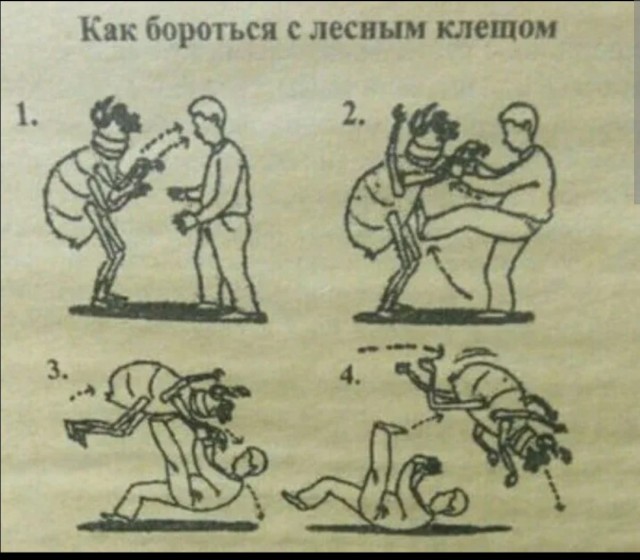 Стасики