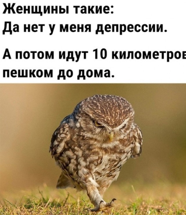 Всего понемногу. От 24.02.24