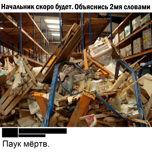 Забавные комментарии из социальных сетей (11.03.24)