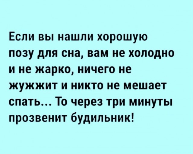 Весёлый полтишок 23.06.24