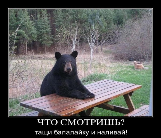 Нуштош 30.09.2024