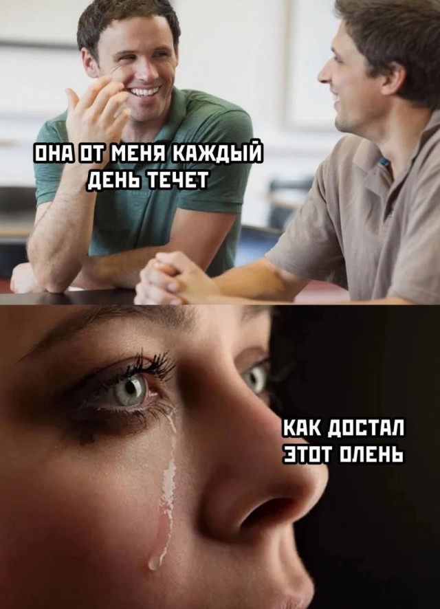 Нуштош 17.10.2024