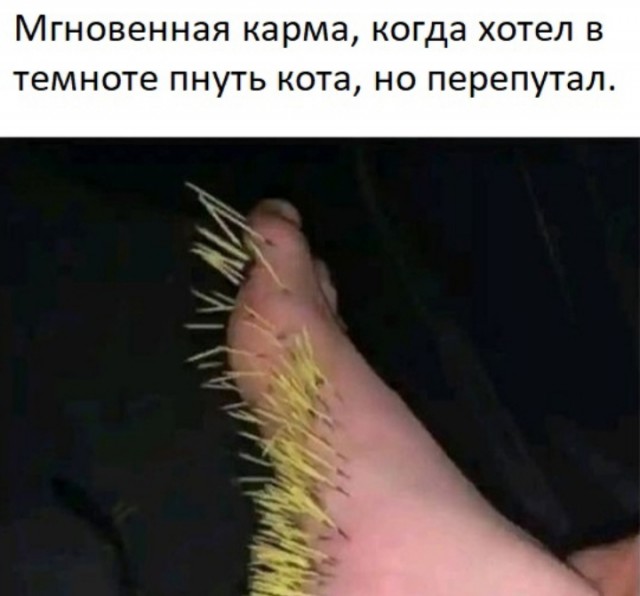 Веселые картинки к пятнице (22.11)