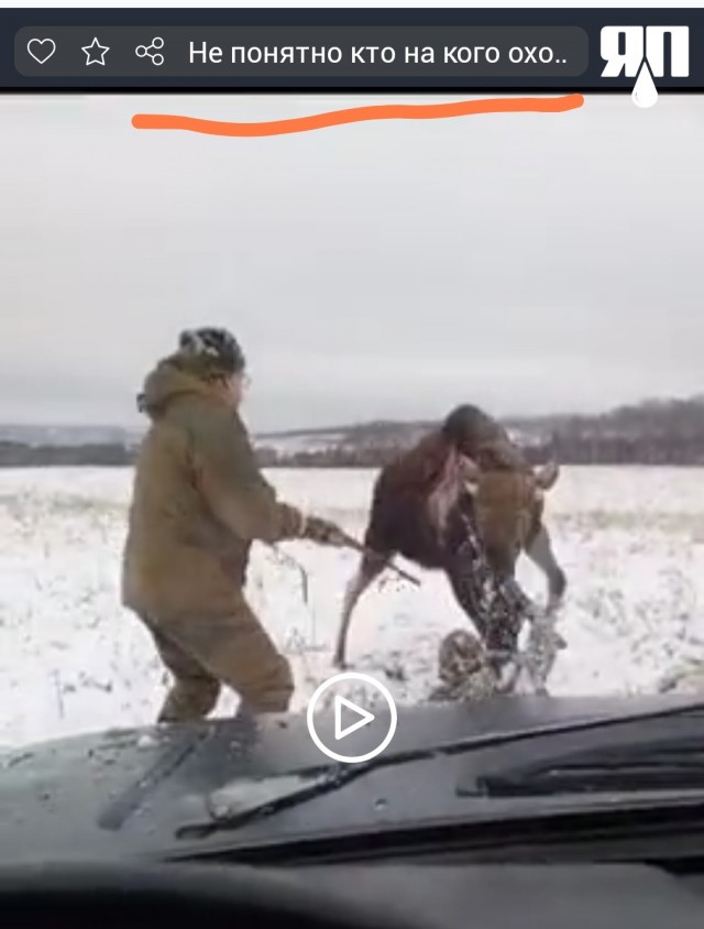 Не понятно кто на кого охотится