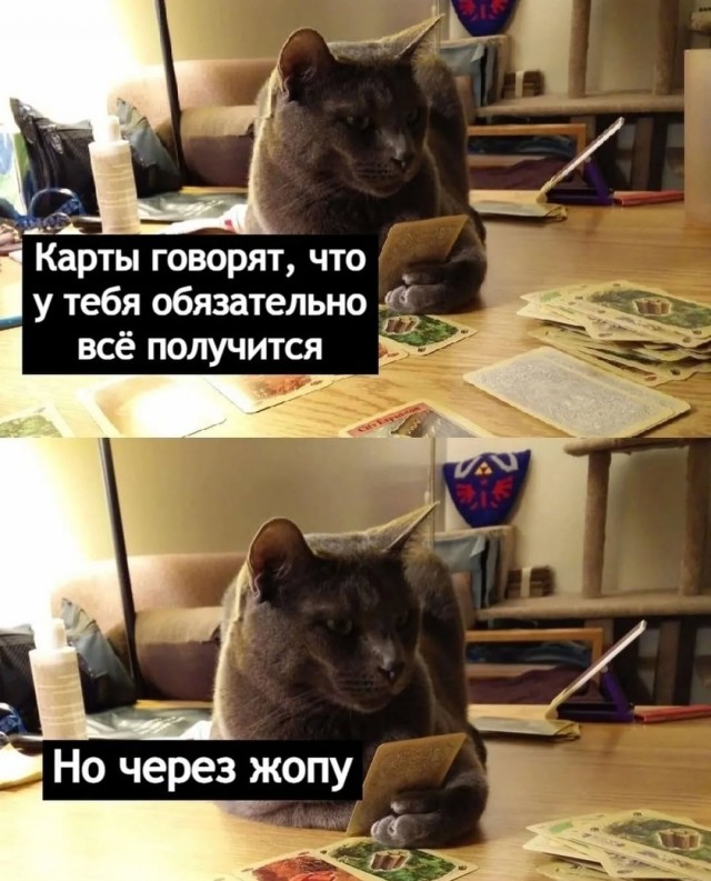 Завалялось тут случайно немного забавных картинок