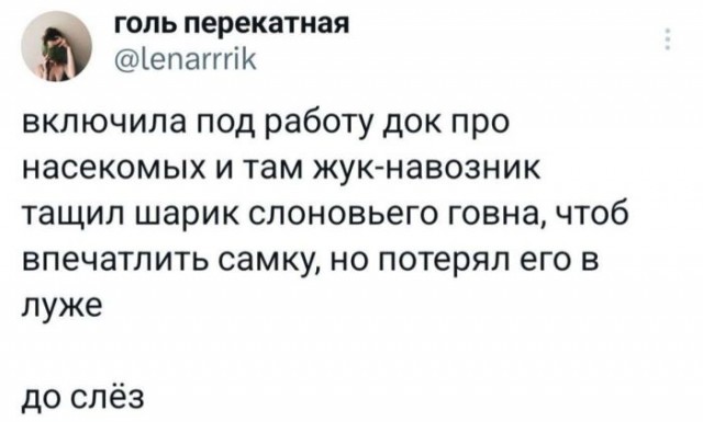 Веселые картинки к пятнице-13