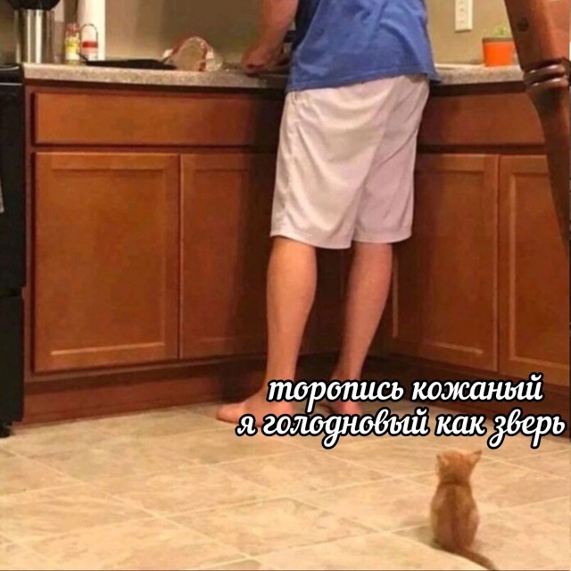 Так себе картинки 11.01.25