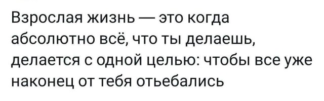 Всего понемногу. От 06.02