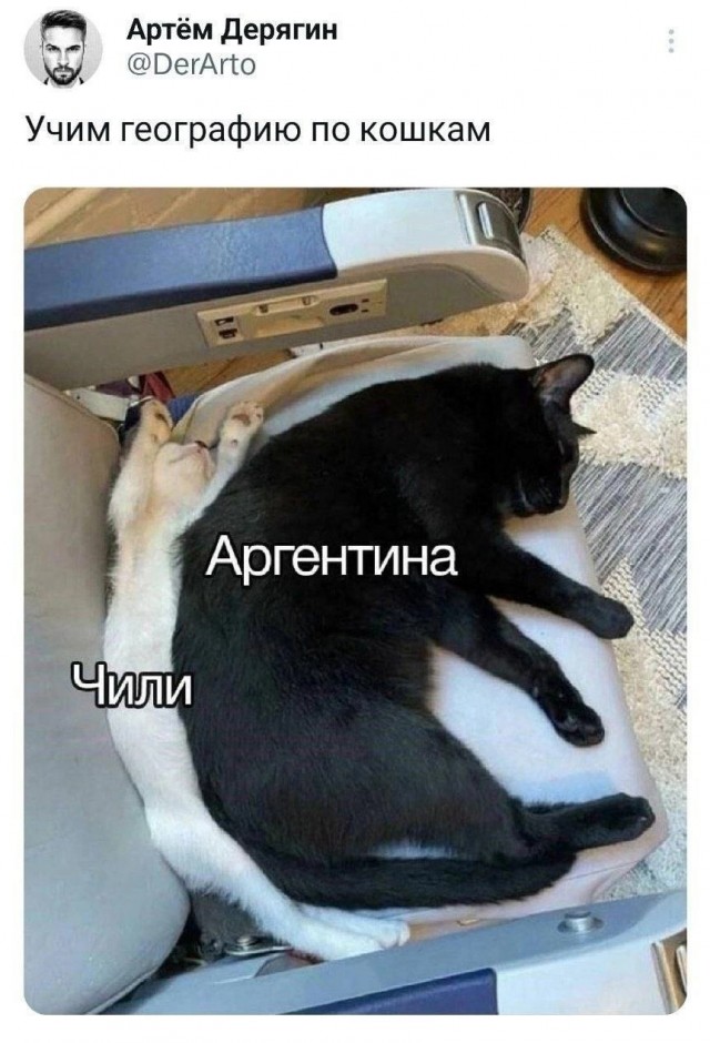 Так себе картинки 26.03.25