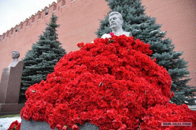 Как оказалось, победный салют гремел вчера не только в российских городах