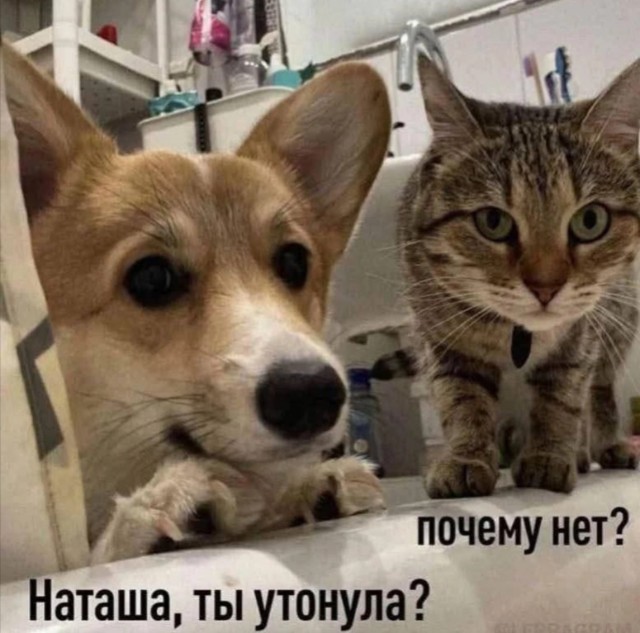 Завалялось тут случайно немного забавных картинок