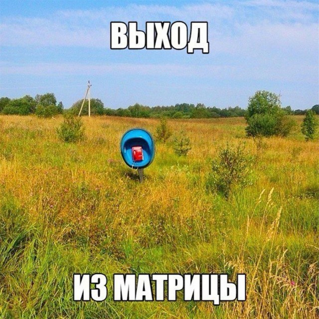 Веселое настроение в картинках 27.07.25