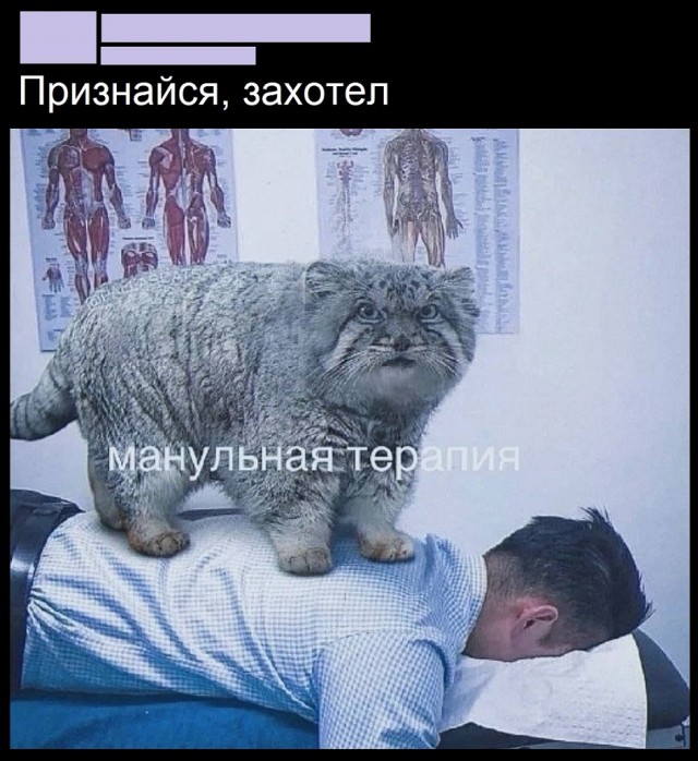 Так себе картинки 01.09.25