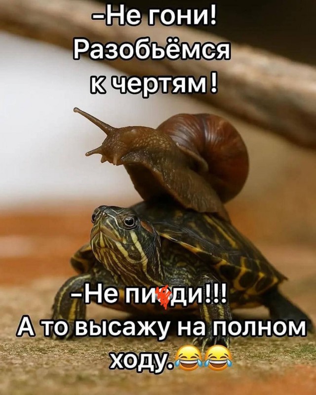 Веселые картинки в понедельник (29.09)