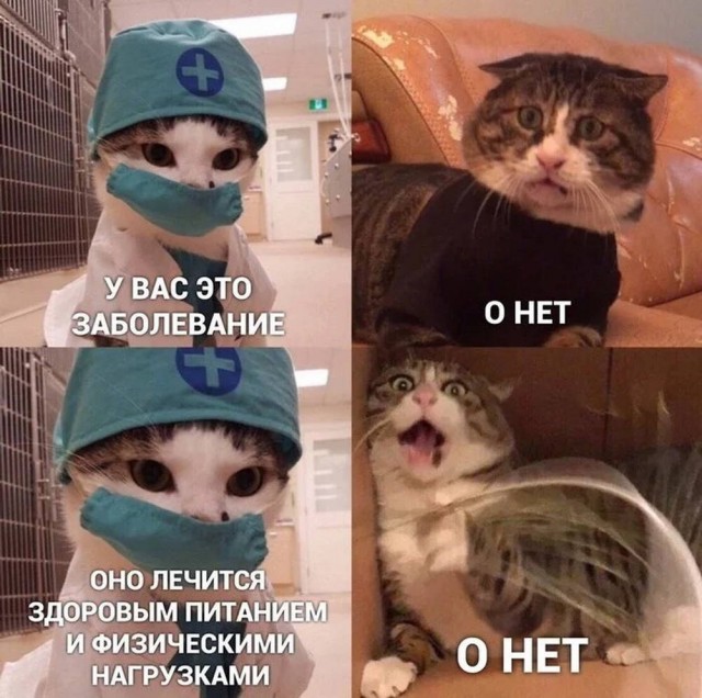 Немного картинок