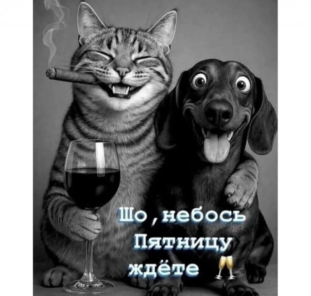 Прикольные и просто красивые картинки 14.11.2025