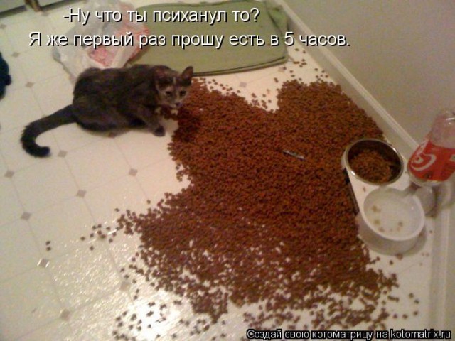Наташ, ты с ума сошла?