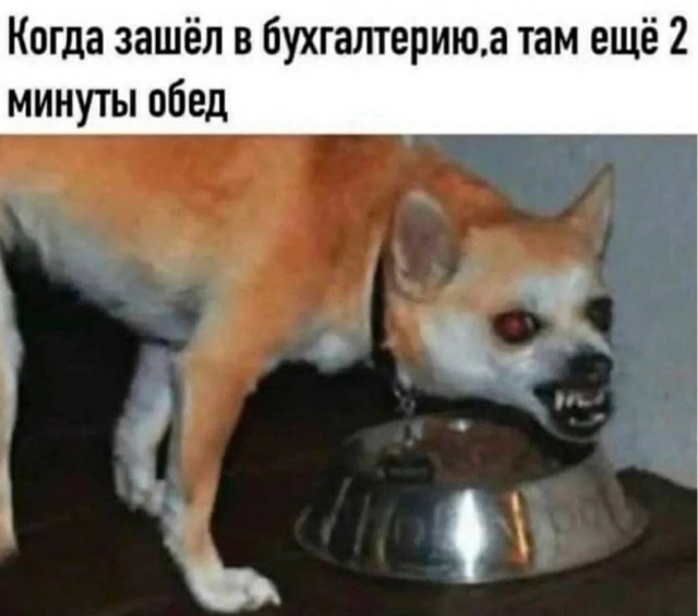 Деградация