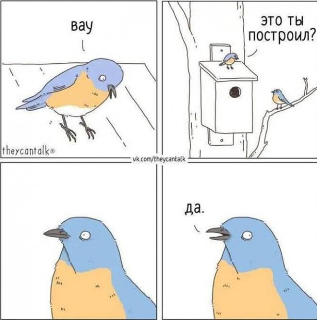 Среды картинки