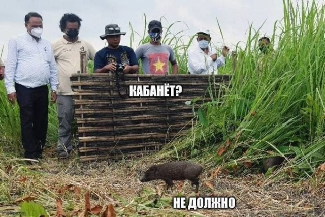 Картинки, надписи.