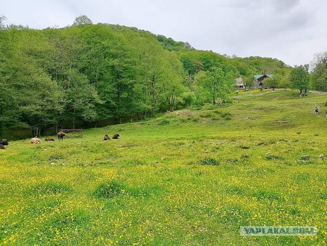 Водопады Ажек (Сочи).