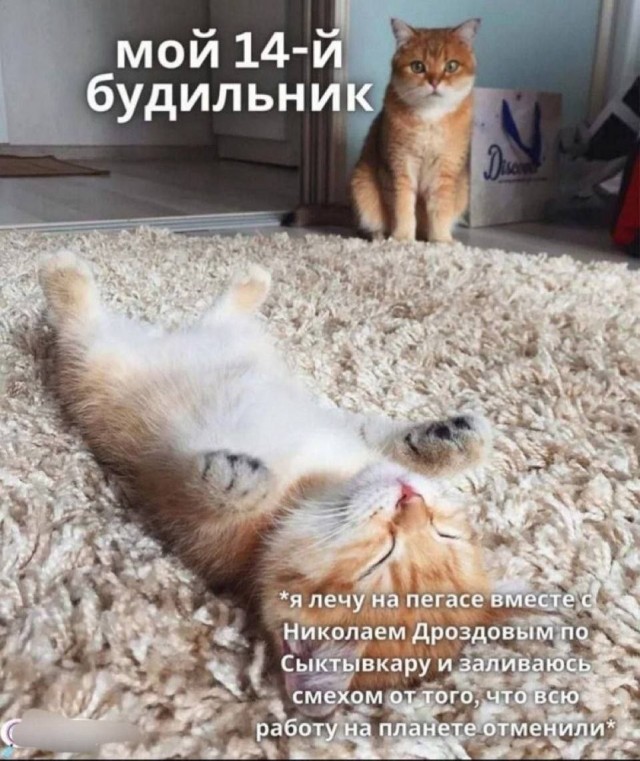 Сцуко, так и есть