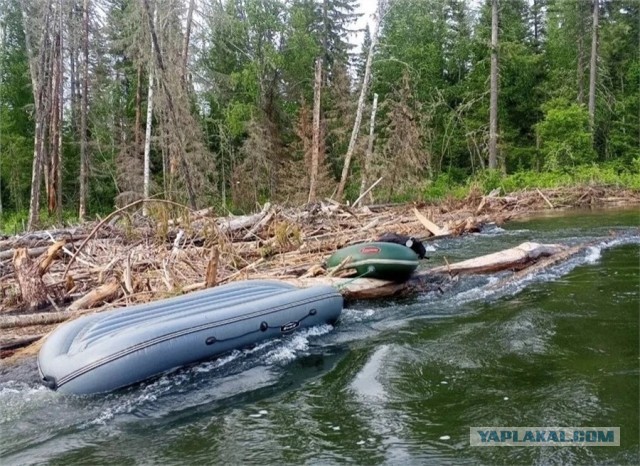 Ещё одна семья загадочно пропала в Красноярском крае