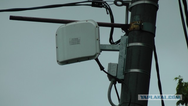 Подскажите что это?