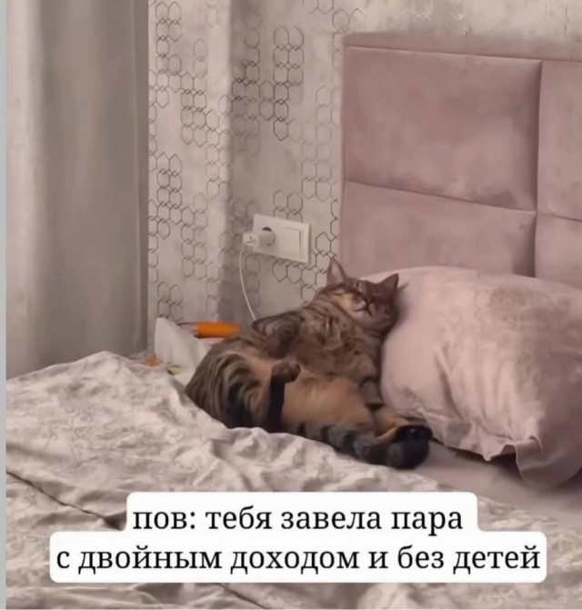 Веселое настроение в картинках 10.08.26