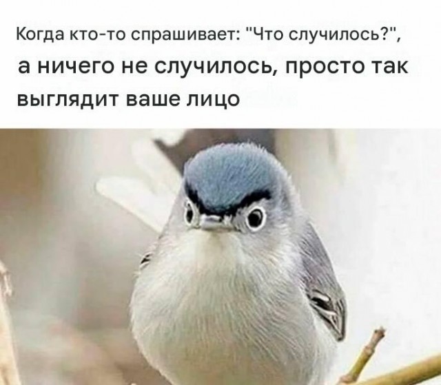 Картинки на субботу