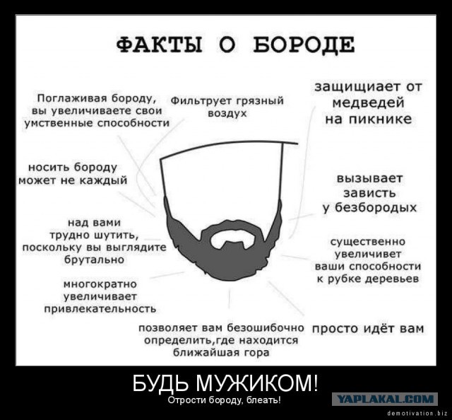 Зачем русскому борода?
