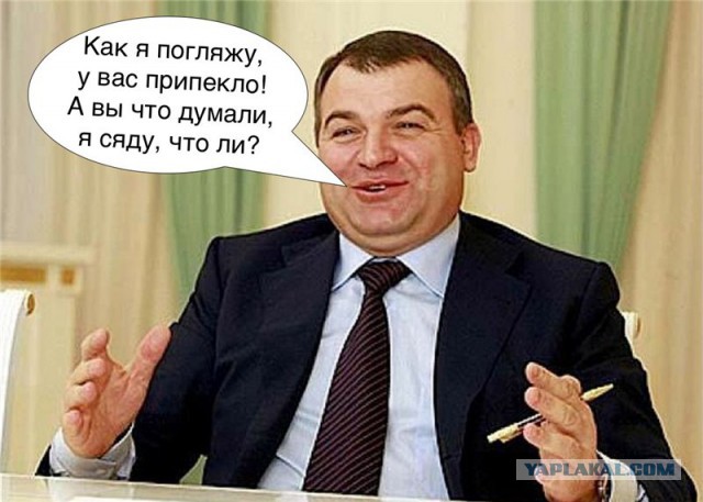 Сердюков устроился на работу