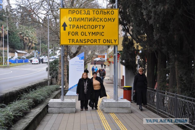 Олимпиада через задницу