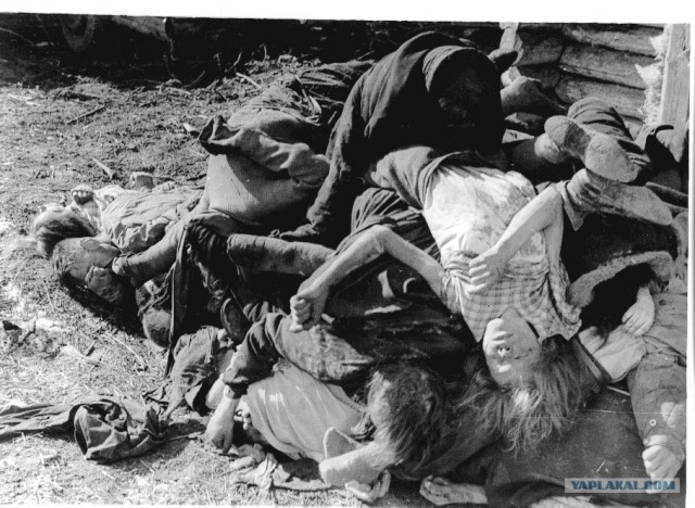 Блокадный Ленинград 1943 год