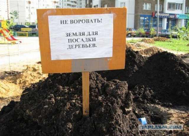 Это Россия, детка!