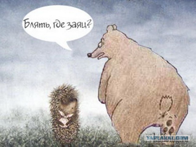 Камчатские медведи