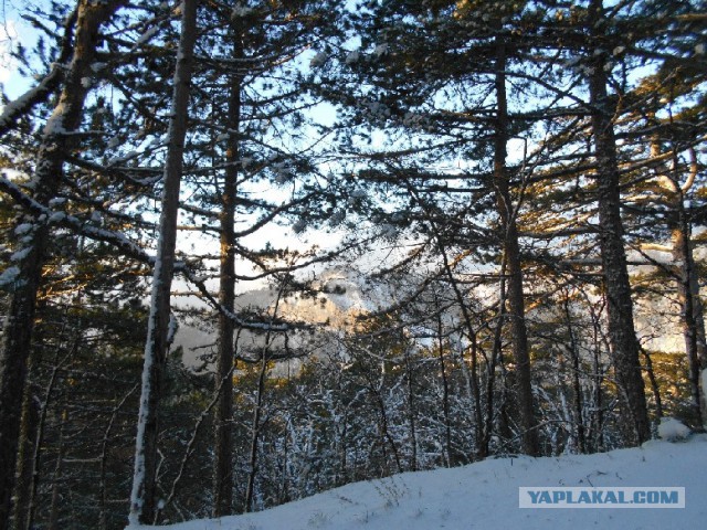 И в Крыму бывает снег
