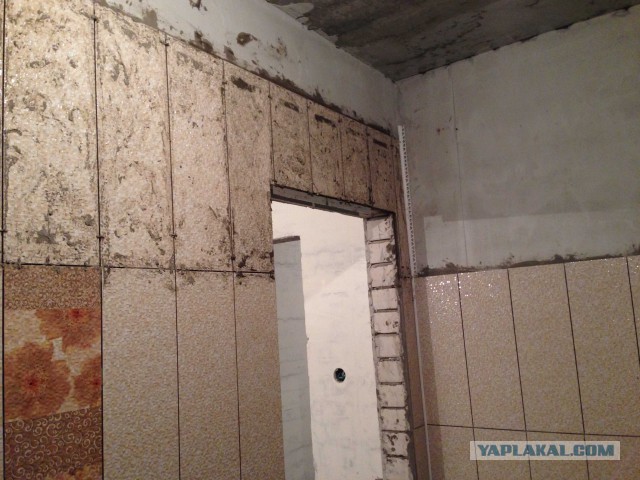 2 in 1. Рукожопство за 2014-2015 год.