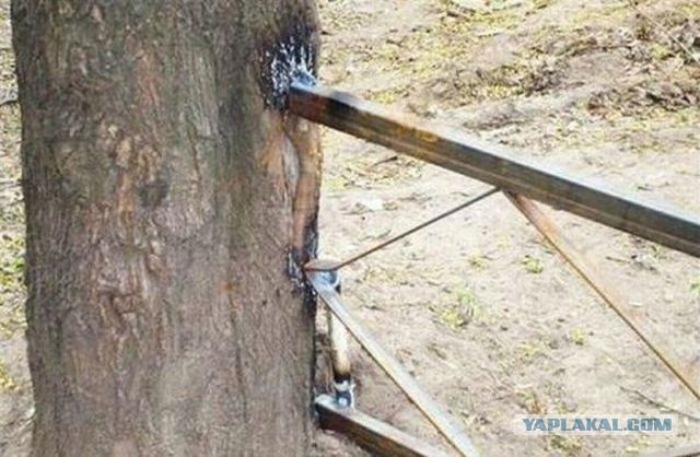 Строительные маразмы