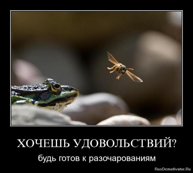Вы хотите "демов"? часть 2-я