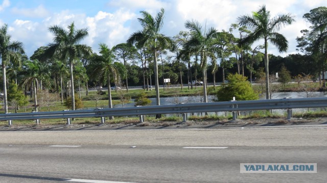 Флорида.Орландо.