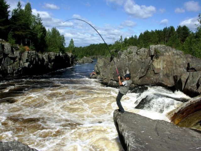 Подборка интересных и веселых фото