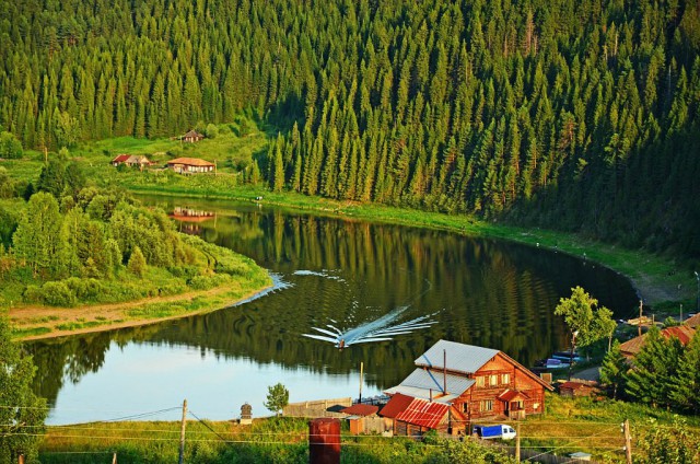 Любопытное в нашей жизни