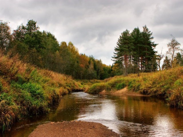 Моменты, запечатлённые на фото и просто позитив 5