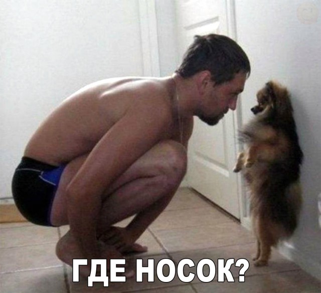 Подборка безудержного веселья