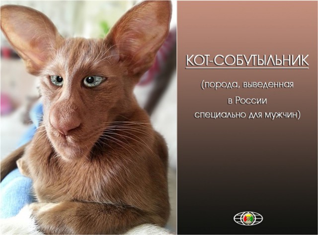 Как я готовился к концу света.