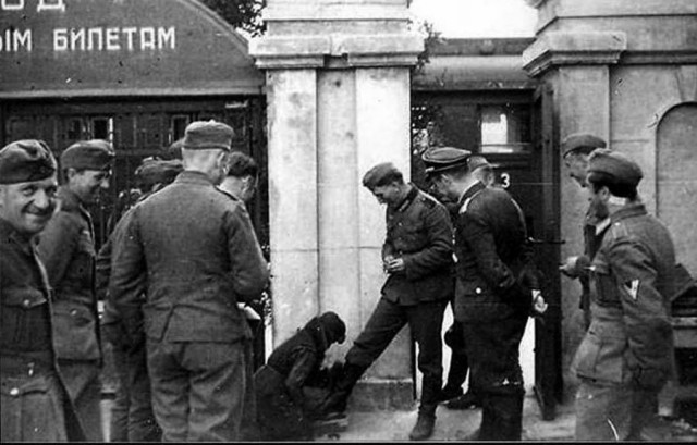 «Новый порядок» в Курске