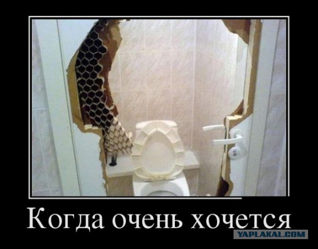 Не доехал! Обо*рался