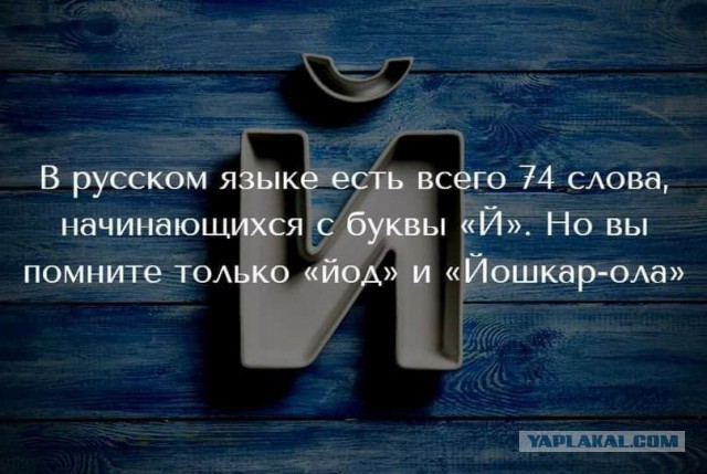 Смешные комментарии из социальных сетей 08.12.2017